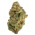 Venom OG