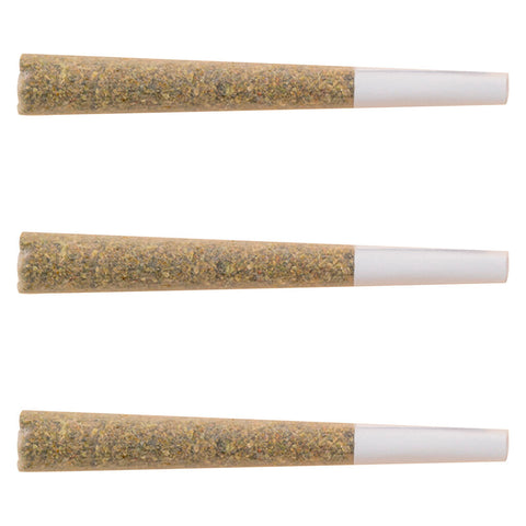 Super Sonic Pre-Roll Photo