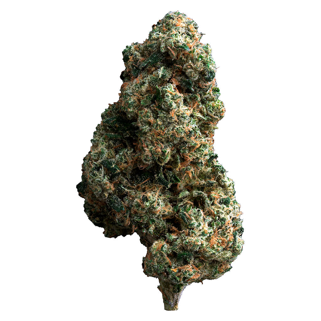 Cherry Diesel - 