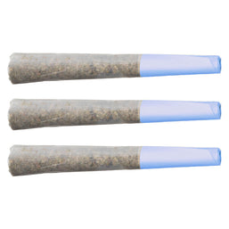 Photo Blueberry Burst Pre-Roll