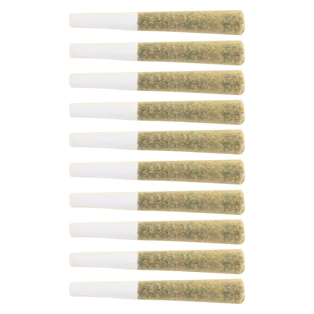 The Republic Reserve 25 Plus Pre-Roll - 