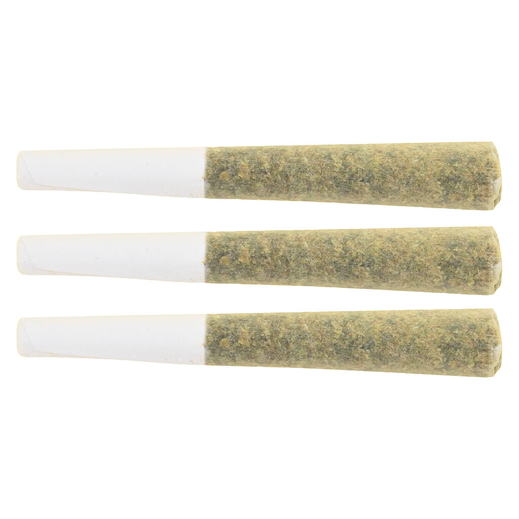 VVS1 Pre-Roll - 