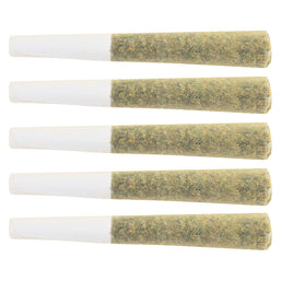 Photo Power Pack Pre-Roll