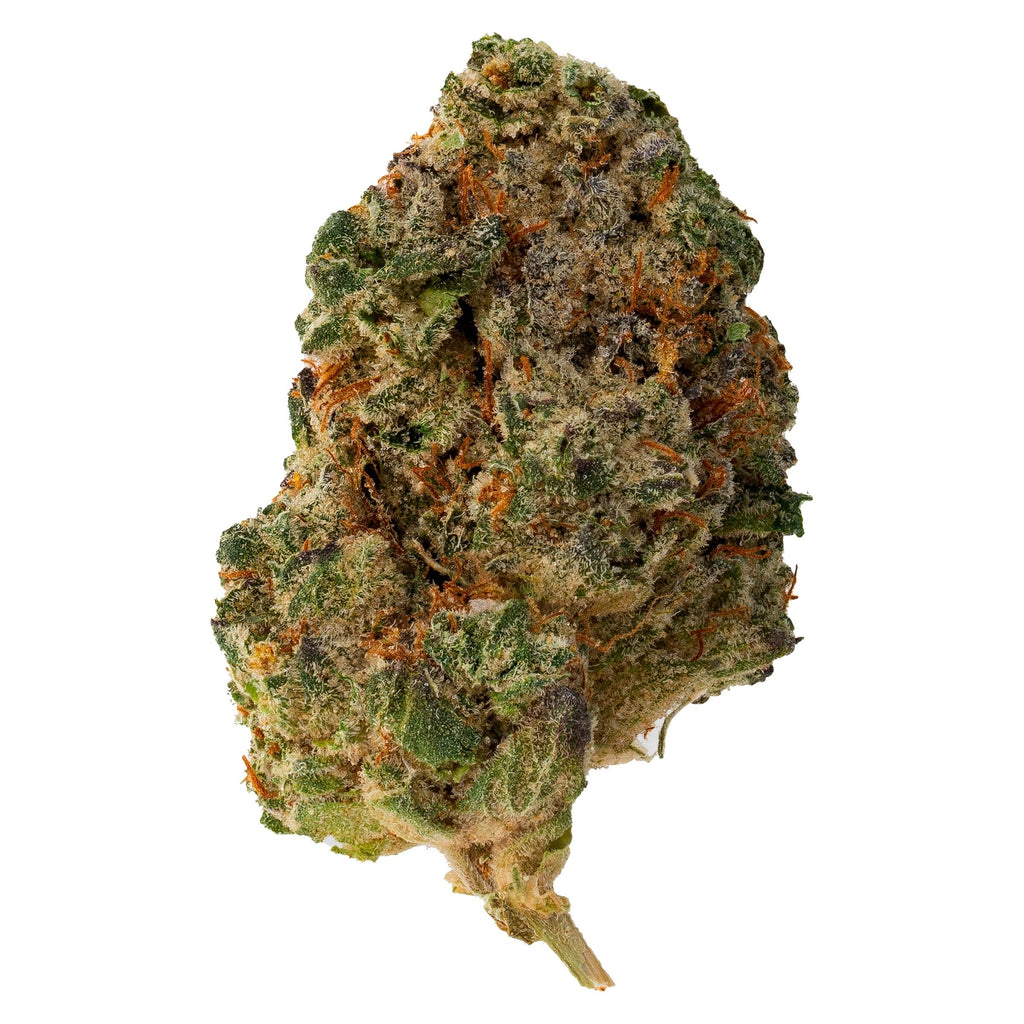 Purple Rain - 