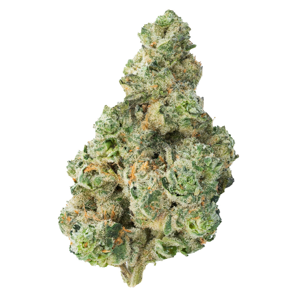 Cherry Diesel - 