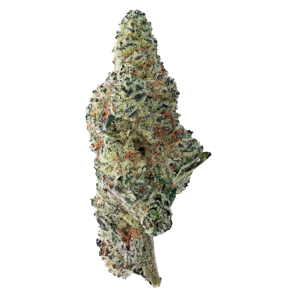 Tropicana Cookies - 