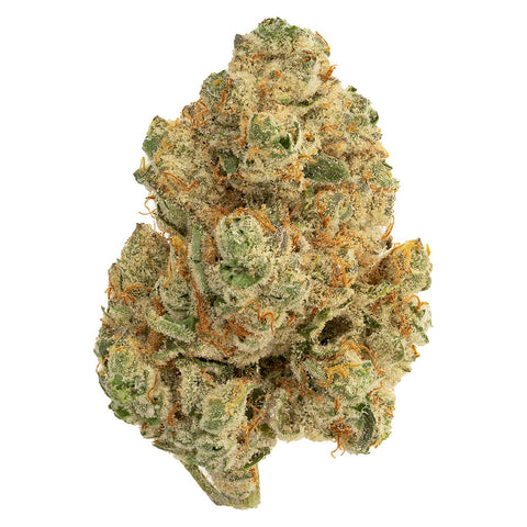 Venom OG Photo