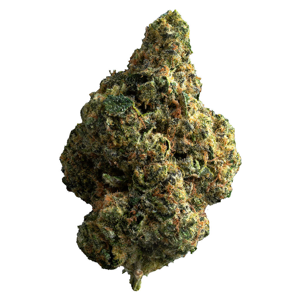 The Republic Reserve 25 Plus - 