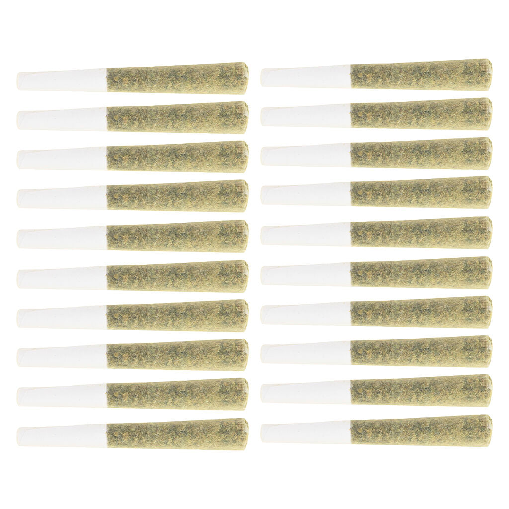 Ops Pre-Roll - 