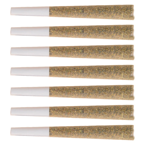 Photo Hail Mary's Pre-roll