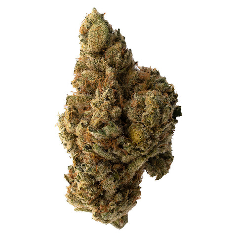 Photo Secret Strains