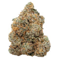 Exotic Gas