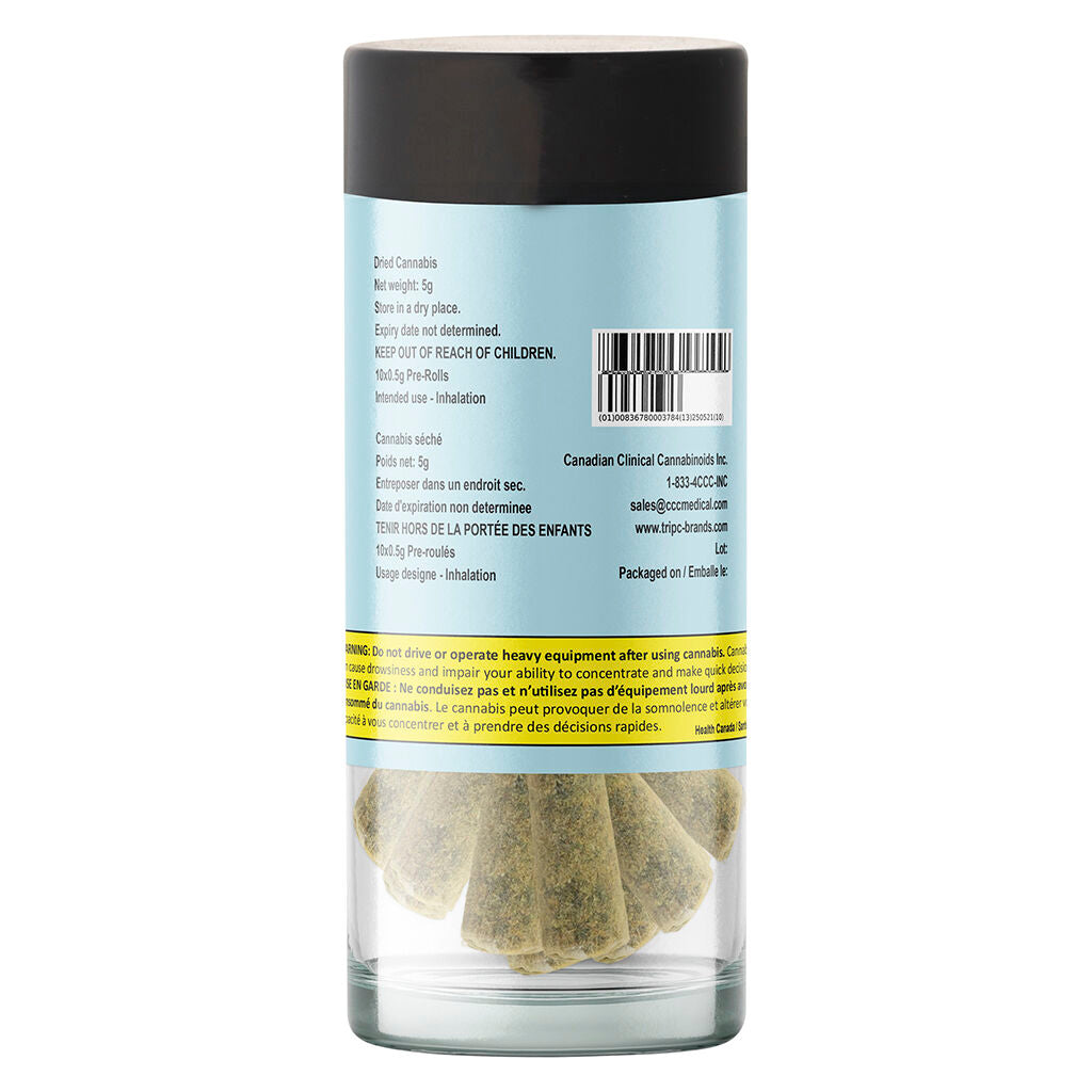 Exotic Gas Lg. Pack Pre-Roll - 