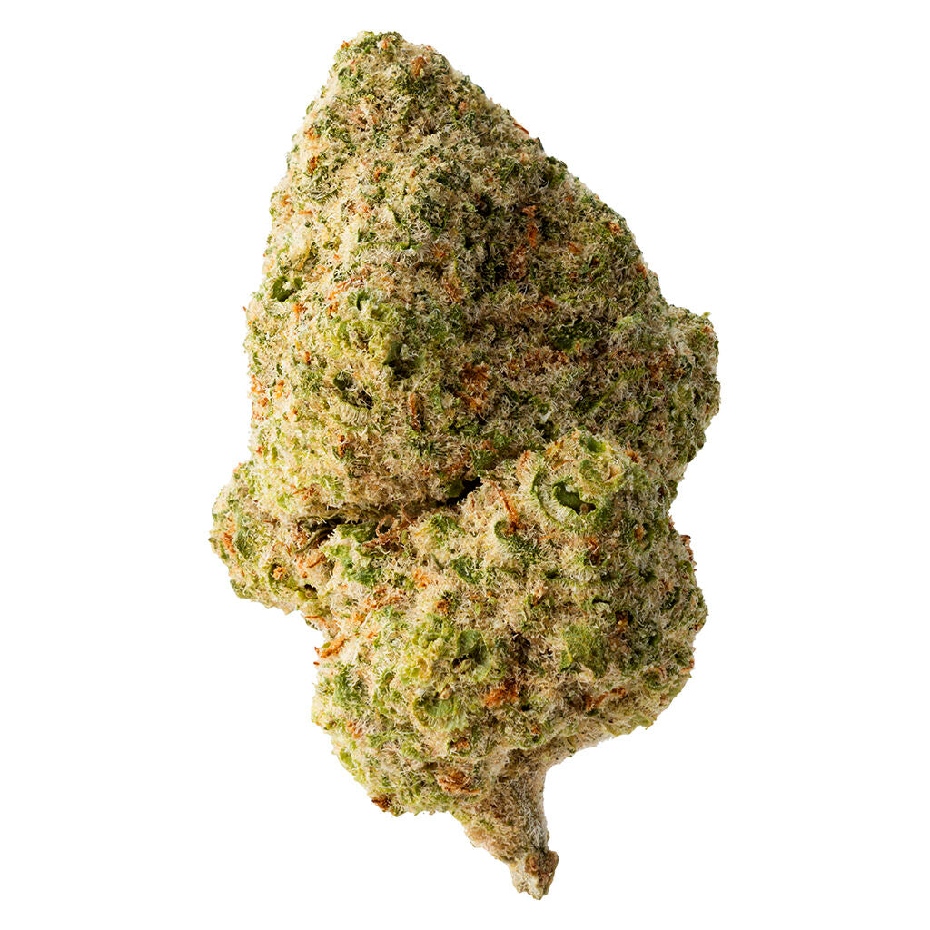 Sticky Bunz - 