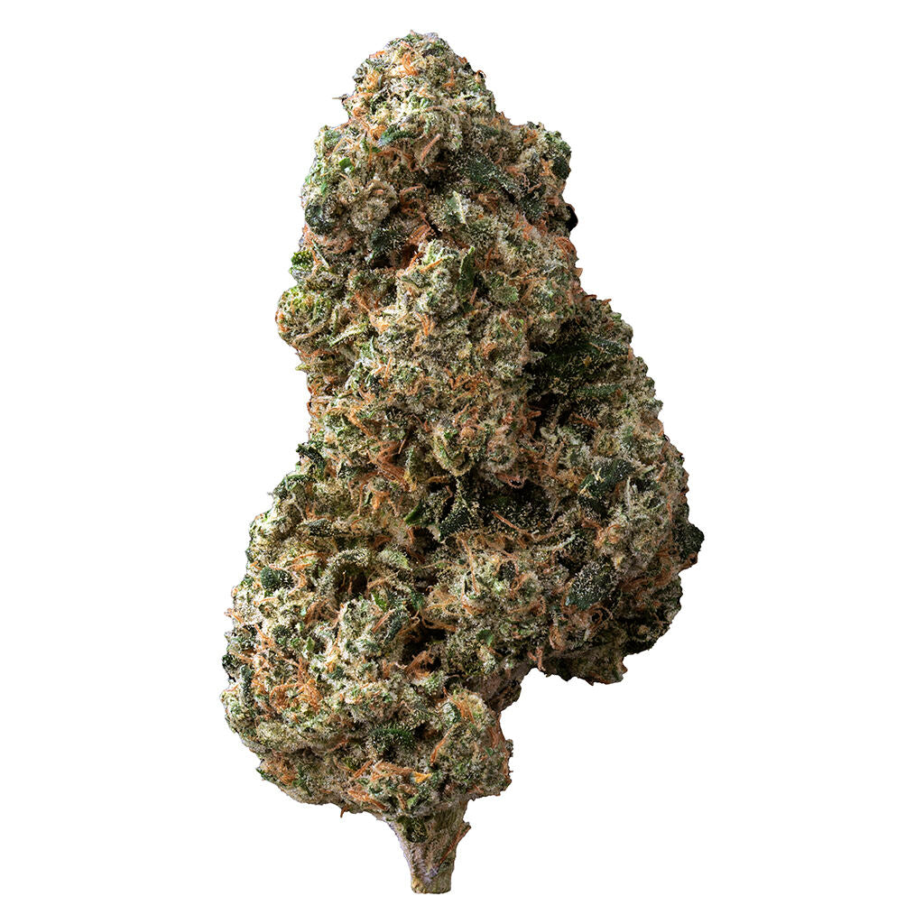 Sticky Bunz - 
