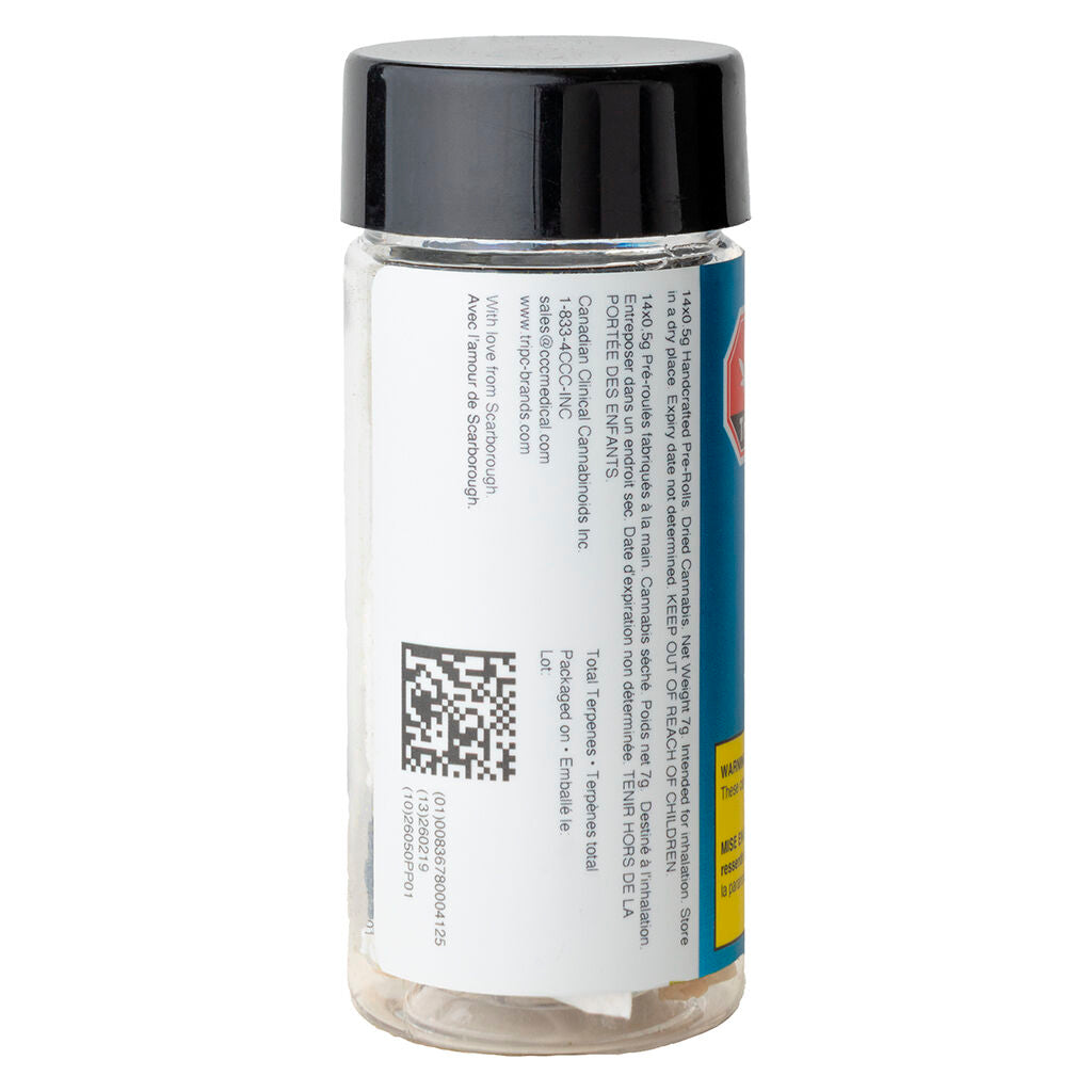 Platinum Punch Pre-Roll - 