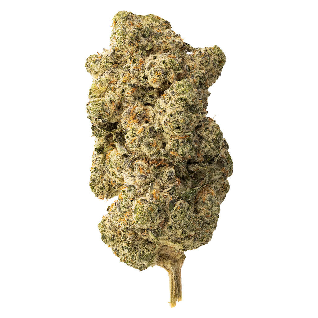 Lemon Gelato - 