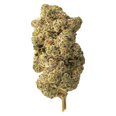 Photo Lemon Gelato