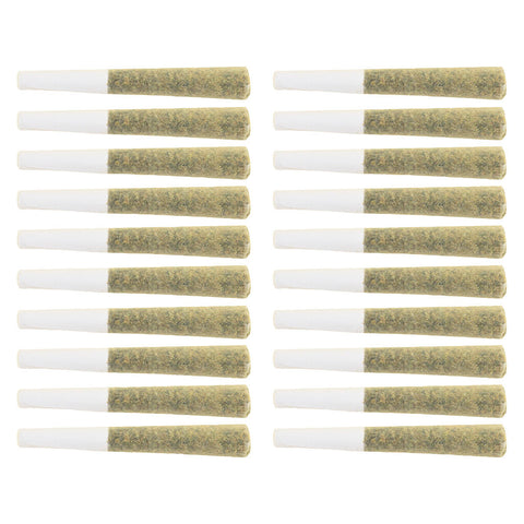 Photo Multi G Pack Pre-Roll