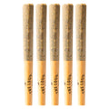 With Love From Scarbourough Pre-Roll