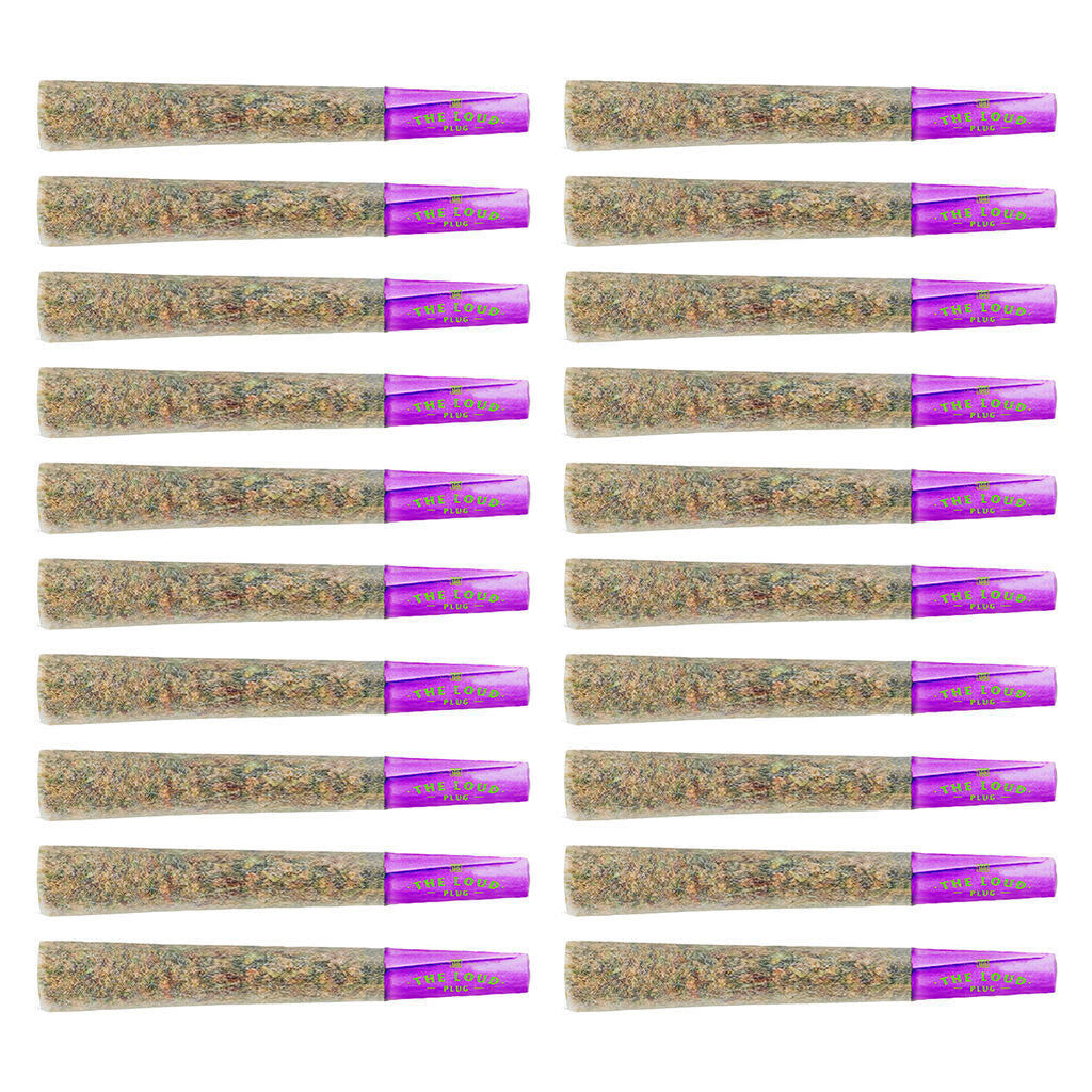 Venom Pre-Roll - 