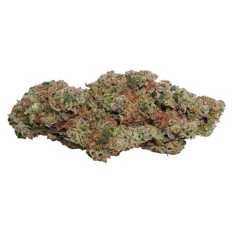 Photo OG Dutch Dragon