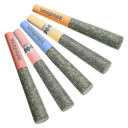 Photo Taster Pack Crushable Infused Pre-Roll