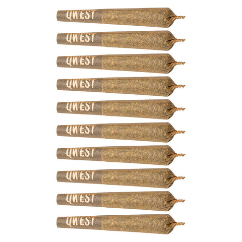 Photo P.s. Cheetah Pre-roll