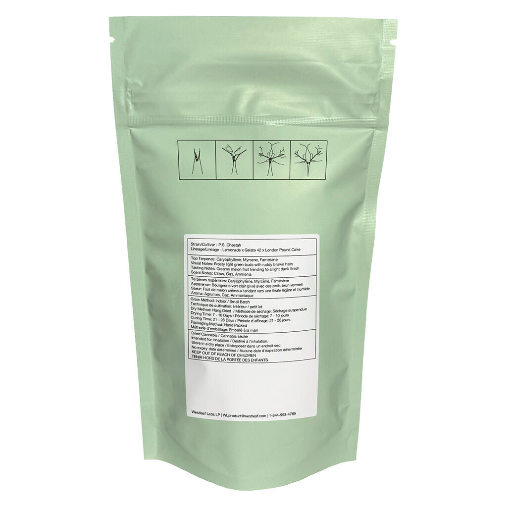 P.s. Cheetah Craft Whole Flower - 