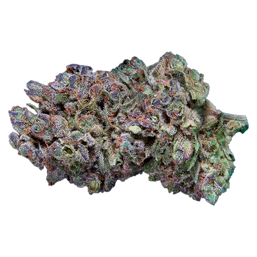 Fleur entière artisanale Platinum Gas