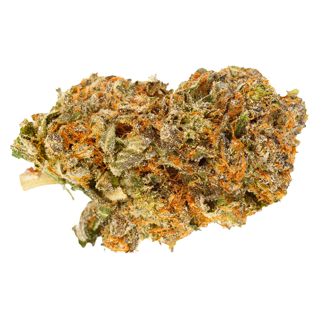 P.O.P. Fleur entière artisanale