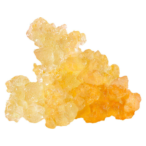 Photo Gorilla Grape Live Resin Caviar
