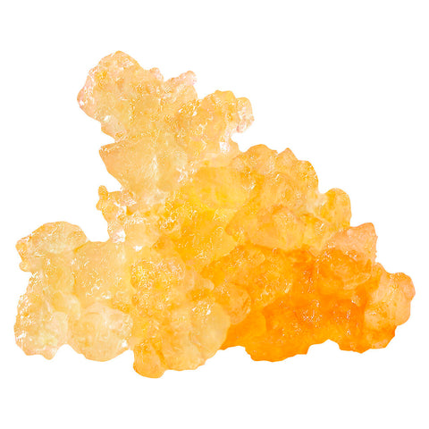 Photo Caviar de résine vivante Gorilla Grape