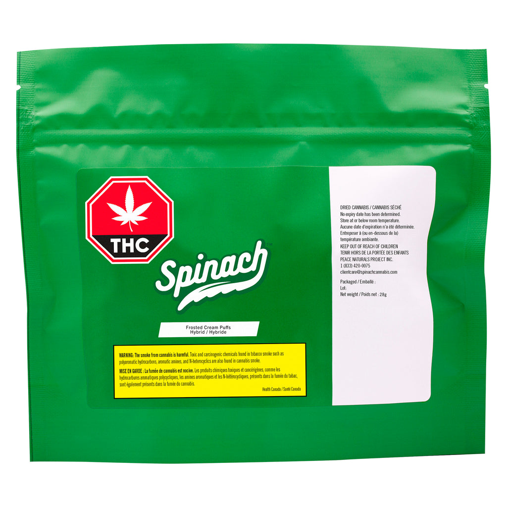 Frosted Cream Puffs - 