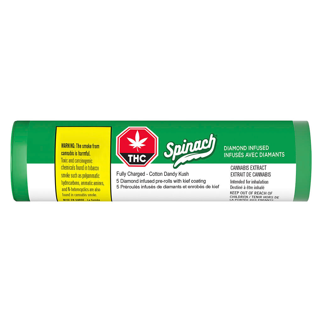 Préroulé infusés de coton Dandy Kush entièrement chargés