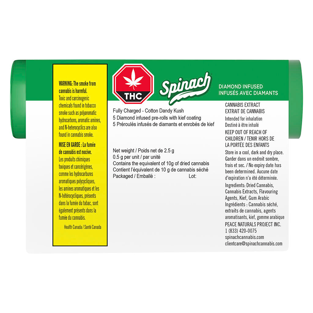 Préroulé infusés de coton Dandy Kush entièrement chargés