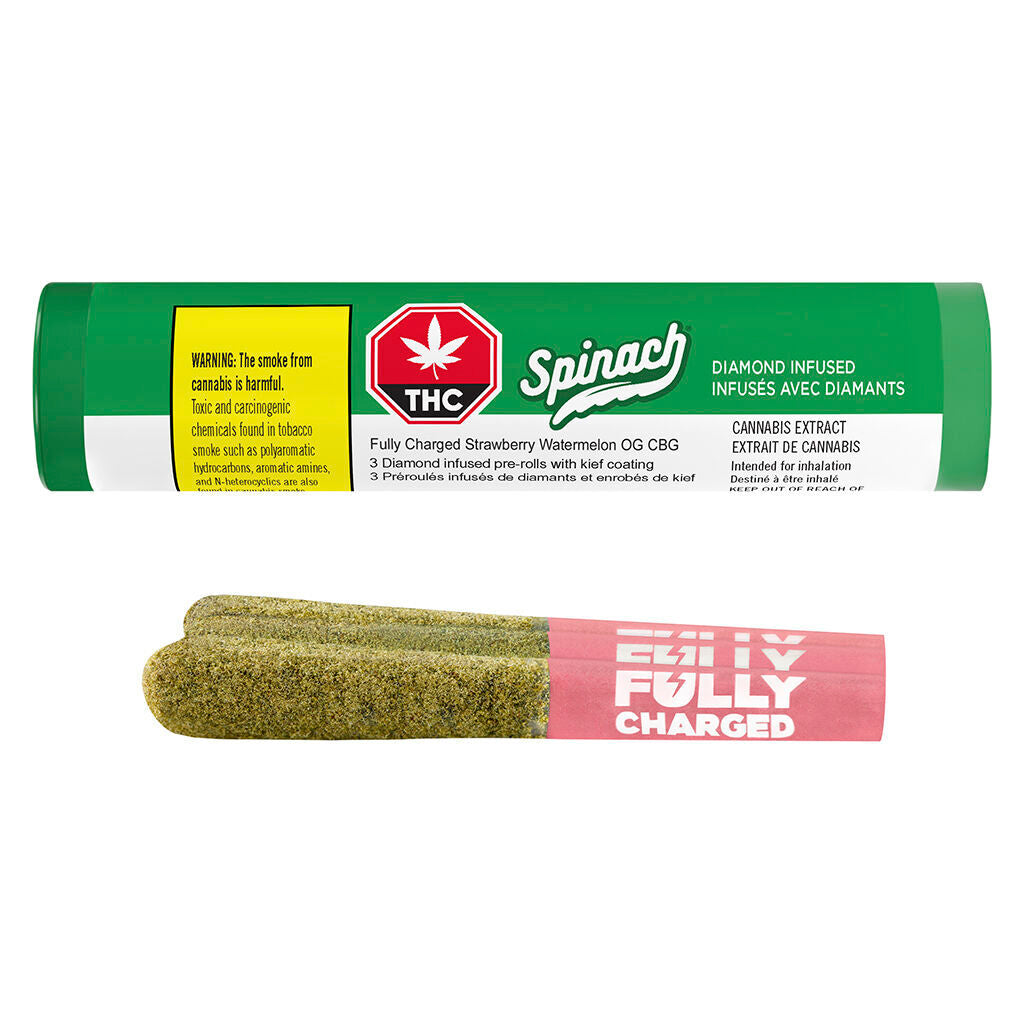 Fully Charged Strawberry Watermelon OG CBG Infused Pre-Roll - 