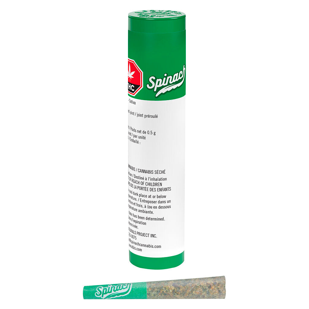 Blue Thai Pre-Roll - 