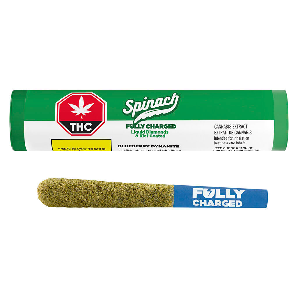 Fully Charged Blueberry Dynamite Infused Pre-Roll - 