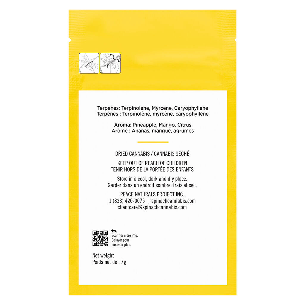 Grindz - Pineapple Gelato - 