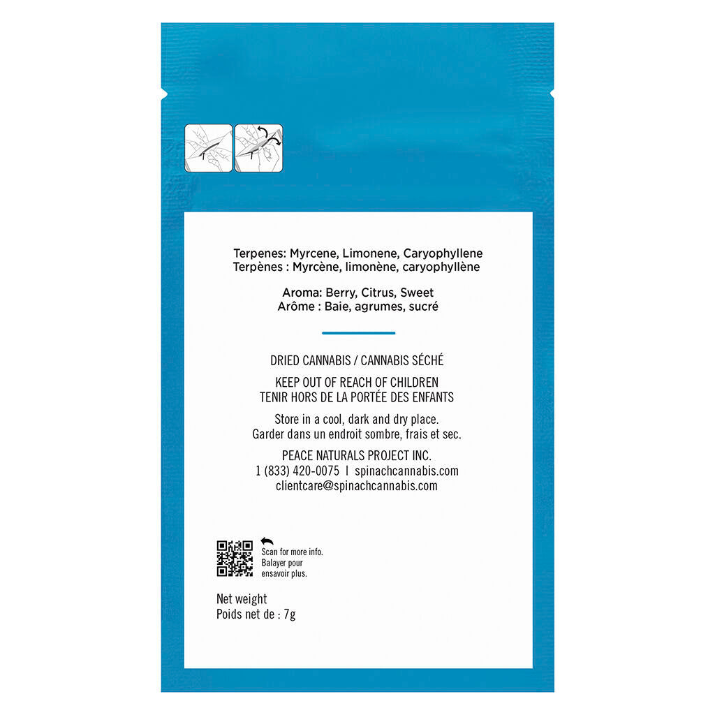 Grindz - Blue Razz - 