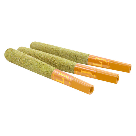 Photo Préroulé Résine vivante Fusions Durban Kush x Citrus Sap