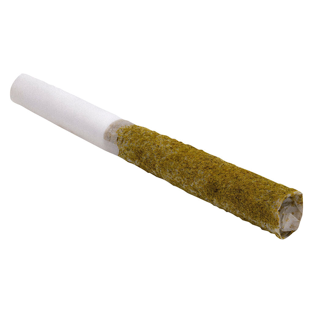 NIGHT KUSH INDICA INFUSED PRE-ROLL - 