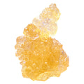 Strawberry Cough Sativa Diamond Jumbo Jar