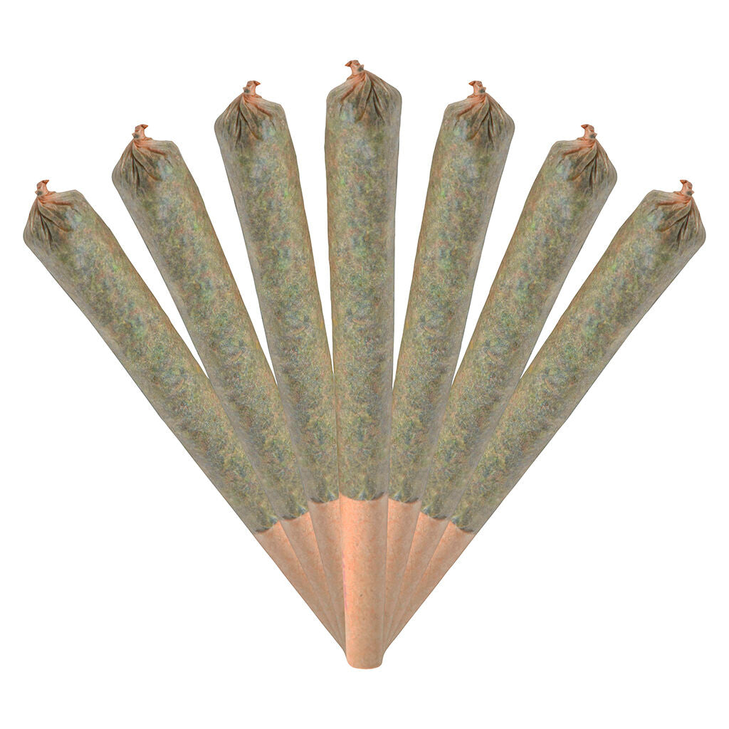 Jack Herer Jamboree Smiggies Pre-roll - 