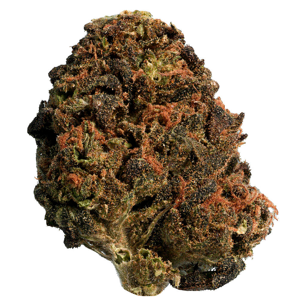 BC Organic Sungrown Mango Sapphire - 