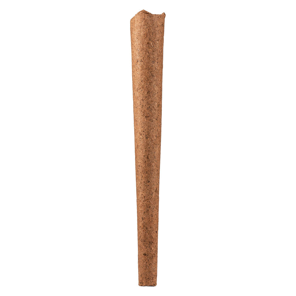 The One Night Stand Blunt - 