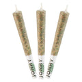 Live Resin Taster Pack Infused Pre-Roll