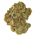 Jonny's Stash Rotational Indica