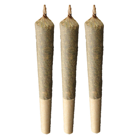 Photo Indica 20 Plus Pre-Roll